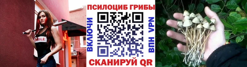 Галлюциногенные грибы прущие грибы  Наволоки 