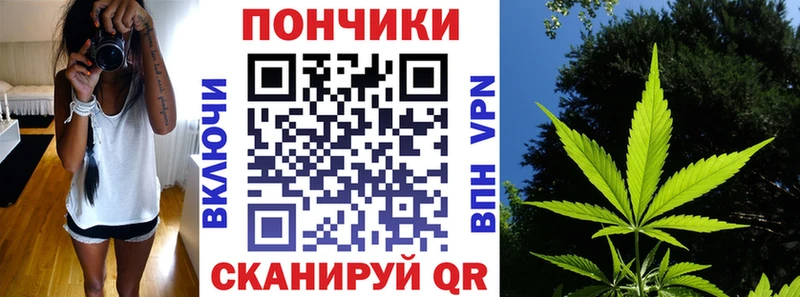 Бошки марихуана THC 21%  наркошоп  shop наркотические препараты  Наволоки  мега рабочий сайт 